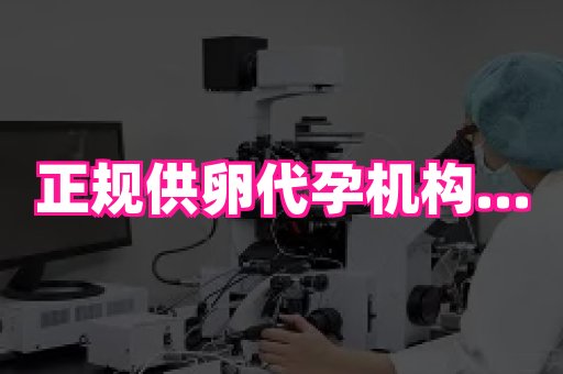 国际助孕网站 1
