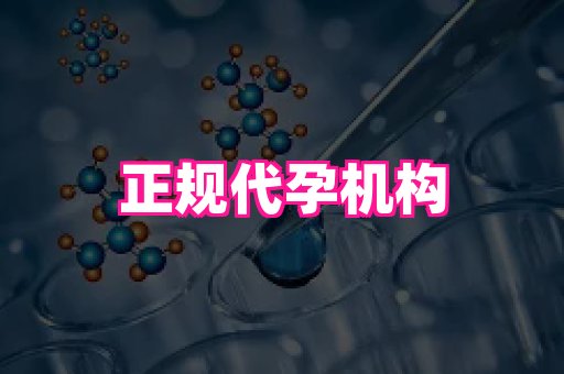 国际助孕网站 2