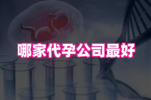 国际助孕网站 3