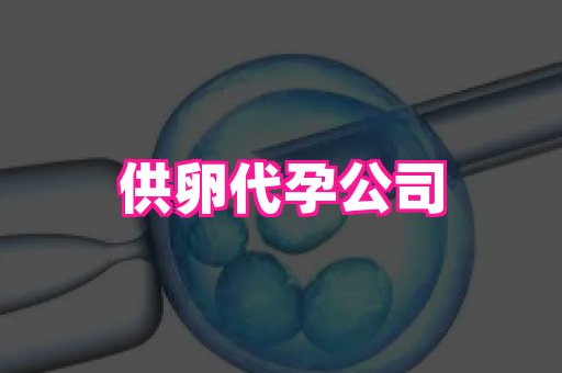 国际助孕网站 4